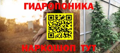 мдпв Аргун