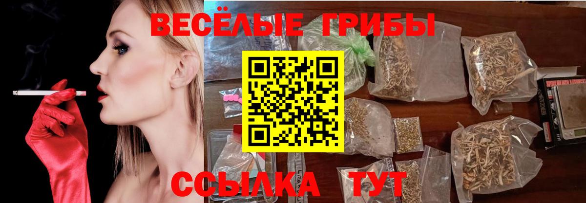 Псилоцибиновые грибы Psilocybine cubensis  Псилоцибиновые грибы Magic Shrooms  Артём  Вход с VPN 